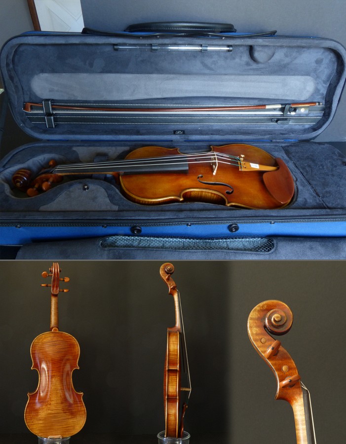 Combined Violin Image