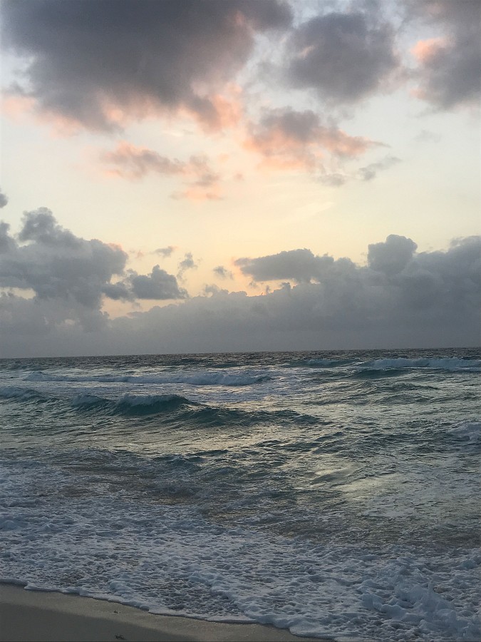 1st Convention of the Americas—Cancun 2019—Photo 104