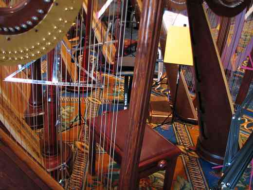 A forest of harps at the 2008 SAA Conference